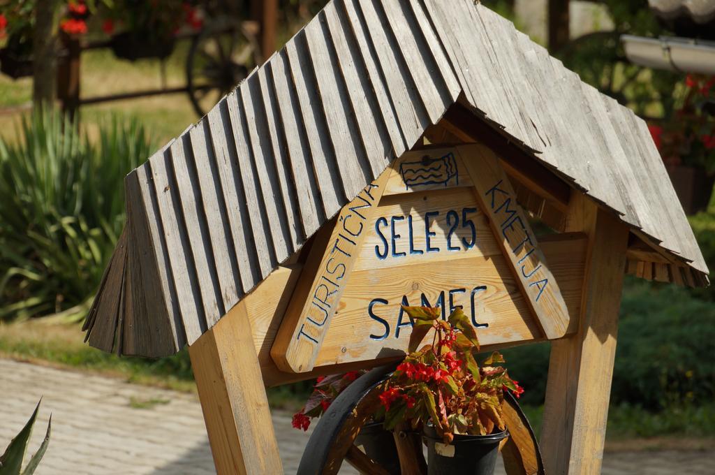Tourist Farm Samec Villa Sele Екстериор снимка