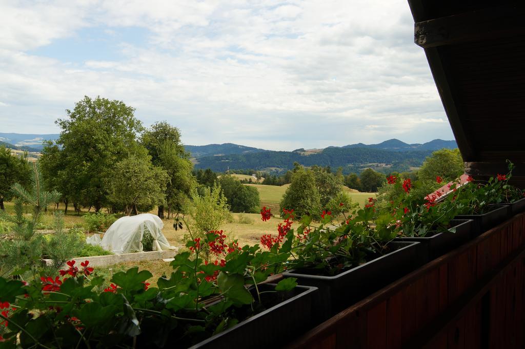 Tourist Farm Samec Villa Sele Екстериор снимка