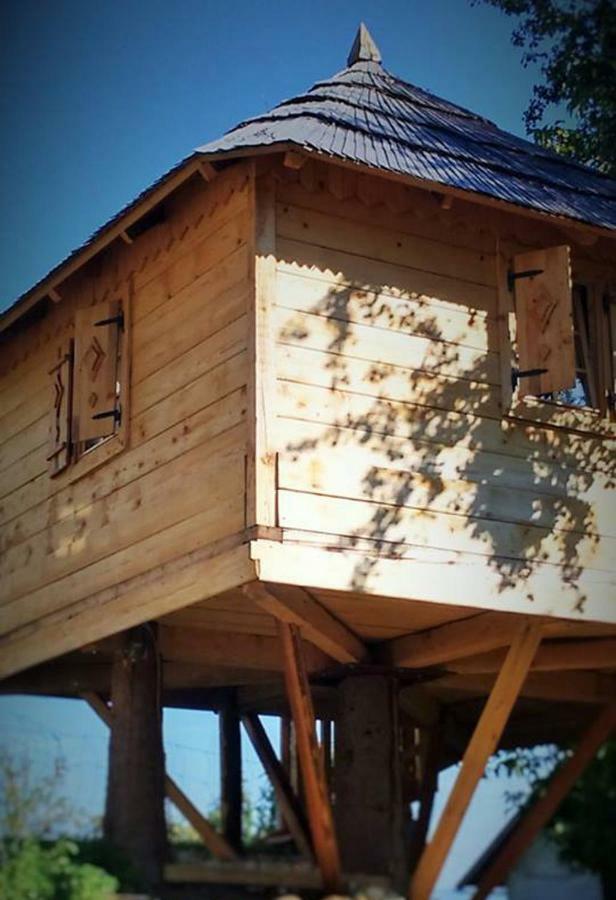 Tourist Farm Samec Villa Sele Екстериор снимка